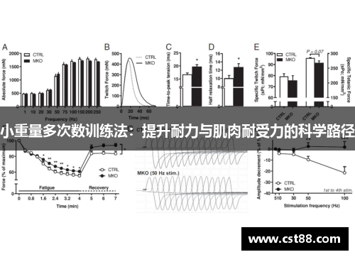 小重量多次数训练法：提升耐力与肌肉耐受力的科学路径